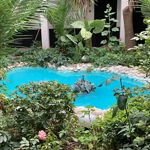 https://hotel-donmez.aegeanhotels.net
